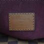 Louis Vuitton Ascot Damier Ebene