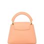 Louis Vuitton Capucines Mini