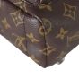 Louis Vuitton Palm Springs Mini Backpack Monogram