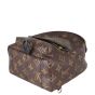 Louis Vuitton Palm Springs Mini Backpack Monogram
