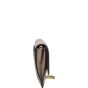 Dior Saddle Wallet on Chain