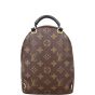 Louis Vuitton Palm Springs Mini Backpack Monogram