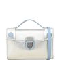 Dior Diorever Clutch on Chain