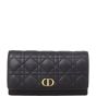 Dior Caro Belt Pouch