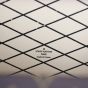 Louis Vuitton Petite Malle Monogram