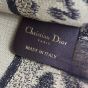 Dior Book Tote Mini