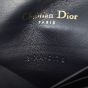 Dior Saddle Belt Pouch Oblique