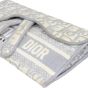 Dior Saddle Belt Pouch Oblique
