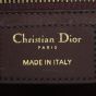 Dior D-Fence Saddle Bag