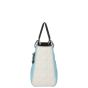 Dior Lady Dior Medium Tricolour