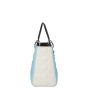 Dior Lady Dior Medium Tricolour