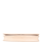 Dior Diorama Clutch on Chain