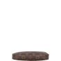 Louis Vuitton Pochette Accessories Monogram with Long Strap