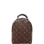 Louis Vuitton Palm Springs Mini Backpack Monogram