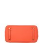 Hermes Birkin 30 Clemence