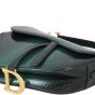 Dior Saddle Bag Python