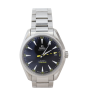Omega Seamaster Aqua Terra Co-Axial Chonometer Watch