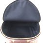 Louis Vuitton Palm Springs Mini Backpack Monogram