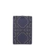 Dior Diorama Vertical Chain Clutch