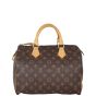Louis Vuitton Speedy 30 Monogram