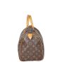 Louis Vuitton Speedy 30 Monogram
