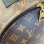 Louis Vuitton Palm Springs Backpack MM Monogram