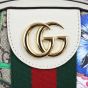 Gucci Ophidia Flora Backpack Hardware