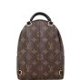 Louis Vuitton Palm Springs Mini Backpack Monogram