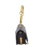 Chloe Nile Minaudiere Bracelet Bag 