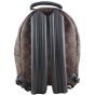Louis Vuitton Palm Springs Mini Backpack Back