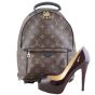 Louis Vuitton Palm Springs Mini Backpack Scale