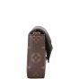 Louis Vuitton Felicie Strap & Go Monogram