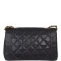 Chanel Diana Flap Bag Medium | Black 