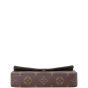 Louis Vuitton Felicie Strap & Go Monogram