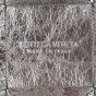Bottega Veneta Cassette Bucket Bag Small Interior Stamp