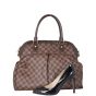 Louis Vuitton Trevi GM Damier Ebene
