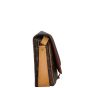 Louis Vuitton Cartouchiere GM Monogram