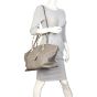 Louis Vuitton Soft LockIt MM Python