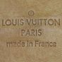 Louis Vuitton Delightful PM Monogram