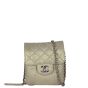 Chanel Python Flap Bag Extra Mini | Gold 
