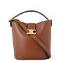 Celine Louise Triomphe Bucket Bag Medium