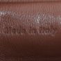 Celine Micro Belt Bag