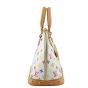 Louis Vuitton Alma PM Multicolore Left