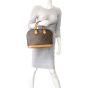Louis Vuitton Alma PM Monogram Mannequin