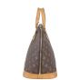 Louis Vuitton Alma PM Monogram Left