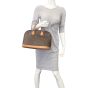 Louis Vuitton Alma PM Monogram Mannequin