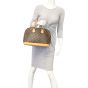 Louis Vuitton Alma PM Monogram Mannequin