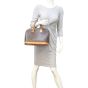 Louis Vuitton Alma PM Monogram Mannequin