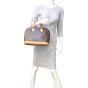 Louis Vuitton Alma PM Monogram Mannequin