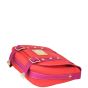 Louis Vuitton Besace PM Antigua Canvas Bag Corner